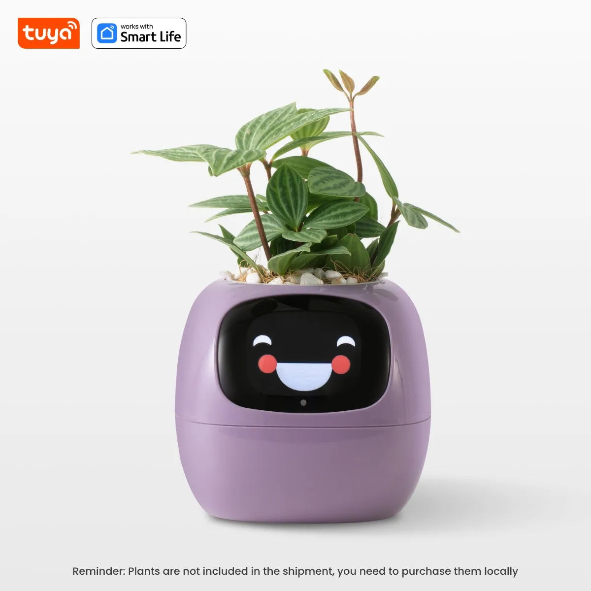Tuya Ivy Smart Planter – AI Plant Care with 49 Expressions & 7 Sensors